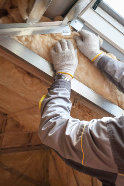 Insulation Repair Services in Bell Canyon, CA